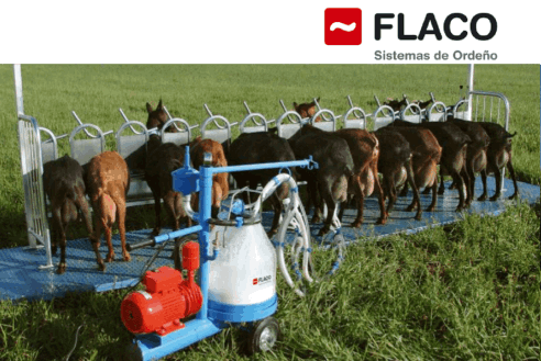 Flaco Ordeño Portatil Cabras Ovejas